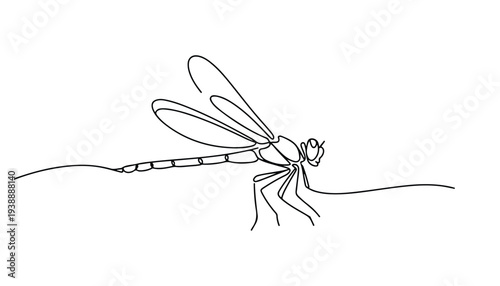 One continuous line illustration of an dragonfly , isolated on white background.