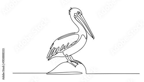 One continuous line illustration of an pelican bird, isolated on white background.