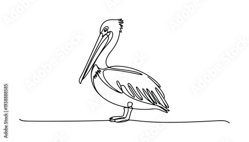 One continuous line illustration of an pelican bird, isolated on white background.