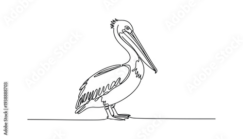 One continuous line illustration of an pelican bird, isolated on white background.