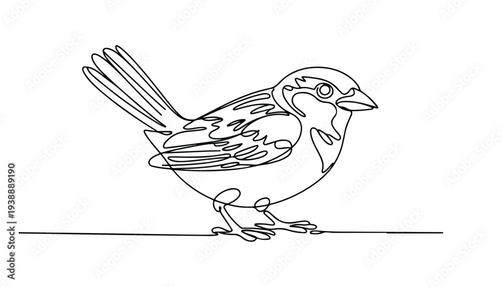 Fototapeta premium One continuous line illustration of an House sparrow bird , isolated on white background.