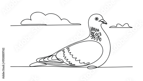One continuous line illustration of an pigeon bird , isolated on white background.