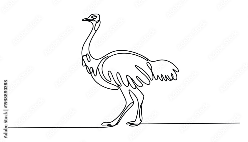 Fototapeta premium One continuous line illustration of an ostrich bird , isolated on white background.