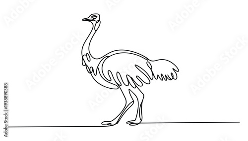 One continuous line illustration of an ostrich bird , isolated on white background.