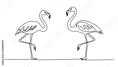 One continuous line illustration of an flamingo bird , isolated on white background.