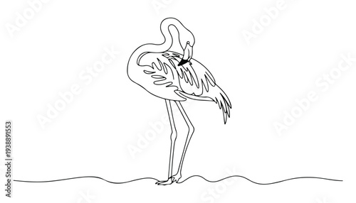 One continuous line illustration of an flamingo bird , isolated on white background.