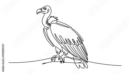 One continuous line illustration of an vulture bird , isolated on white background.