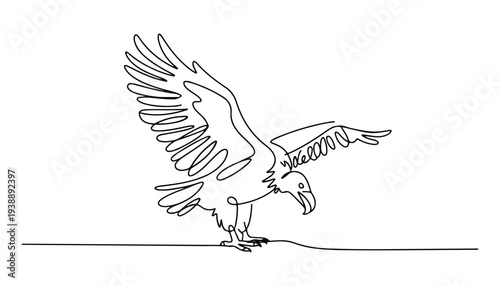 One continuous line illustration of an vulture bird , isolated on white background.