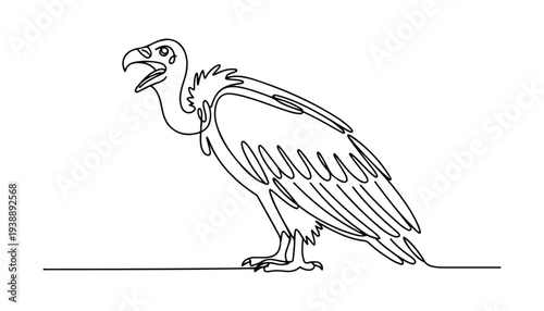 One continuous line illustration of an vulture bird , isolated on white background.