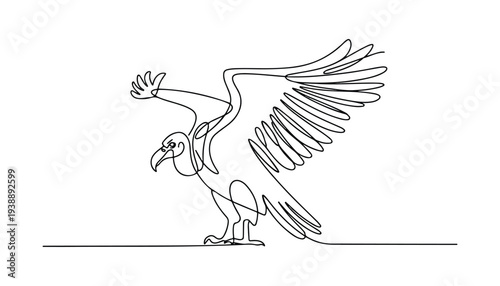 One continuous line illustration of an vulture bird , isolated on white background.