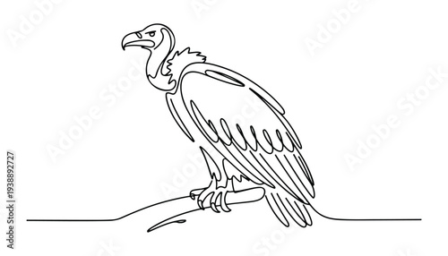 One continuous line illustration of an vulture bird , isolated on white background.