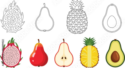 tropical fruits set dragon fruit pear pineapple avocado outline and colored comparison flat vector illustration healthy food collection isolated design