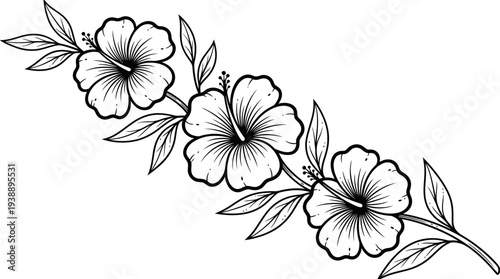 Elegant black-and-white hibiscus floral line art with blooming flowers along a curved stem for minimalist botanical design and decorative artwork.