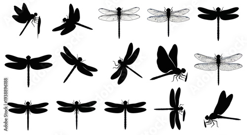 Dragonfly Silhouettes and Line Art Collection - Isolated Vector Graphics
