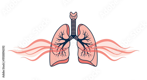 Stylized illustration of human lungs with flowing ribbon like air currents