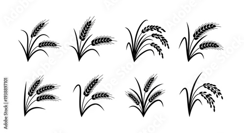 Minimal wheat and rice silhouette vector set featuring agriculture design variations including wheat stalk, rice plant with grain clusters, circular wheat emblem badge, and crossed wheat symbol.