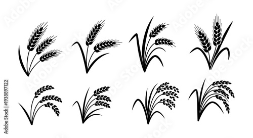 Minimal wheat and rice silhouette vector set featuring agriculture design variations including wheat stalk, rice plant with grain clusters, circular wheat emblem badge, and crossed wheat symbol.