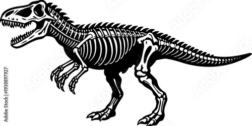 Dinosaur Skeleton Fossil Vector - T-Rex Bone Anatomy Illustration