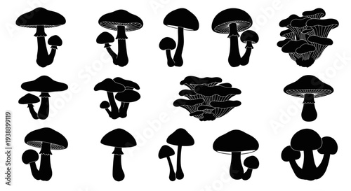 Mushroom Silhouettes Collection