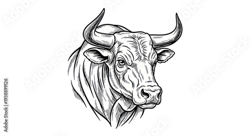 Canvas Print Powerful Bull Head Illustration - Strong Masculine Symbol