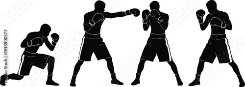 Black silhouette of male boxers in various athletic poses including punching, guarding, and ready for combat on white background vector