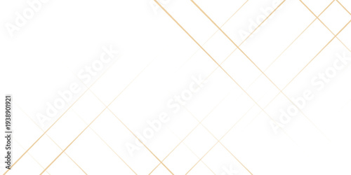 Modern abstract light silver background vector. Elegant concept design with golden line.