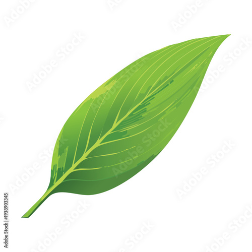 Springtime plant illustration featuring fresh lily buds for nature and botanical garden themed graphic design and art