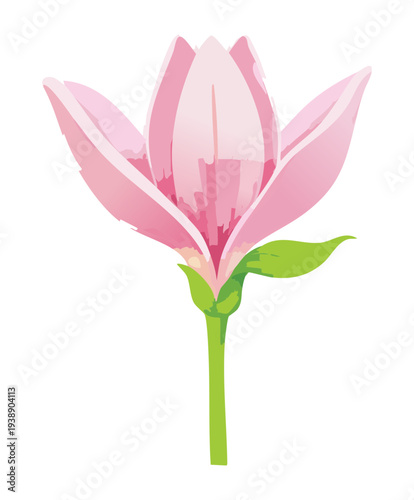 Simple flower illustration of a single tulip for spring themed nature graphic design and art project work