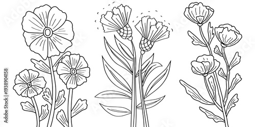 Floral line art collection with wildflowers for coloring page. Hand drawn minimalist black and white flower sketches vector illustration