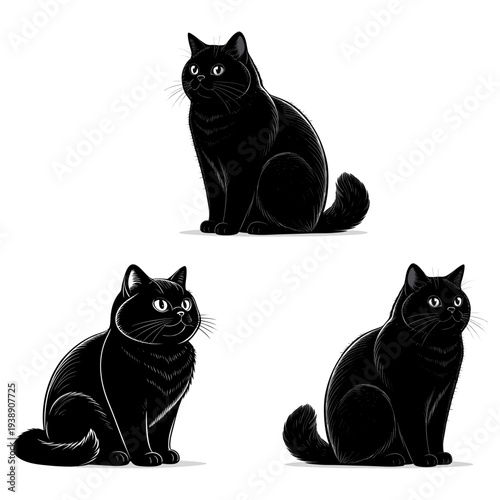 british shorthair cat silhouette vector, minimalist round doll face kitty, plush coat feline icon, flat expression domestic cat logo