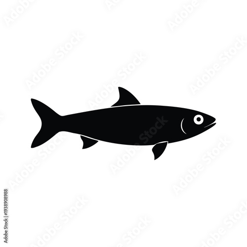 Black and white fish illustration detailed fins and tail silhouette vector design, anchovy silhouette vector illustration