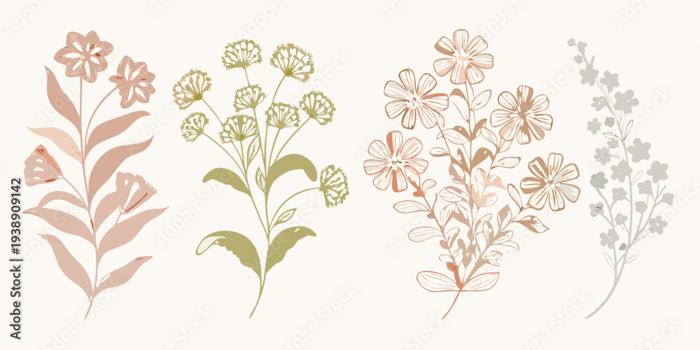 Fototapeta premium Botanical illustration of various wildflower arrangements in muted tones