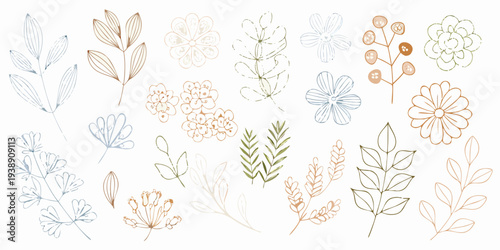 Delicate botanical illustrations of leaves and flowers in muted tones