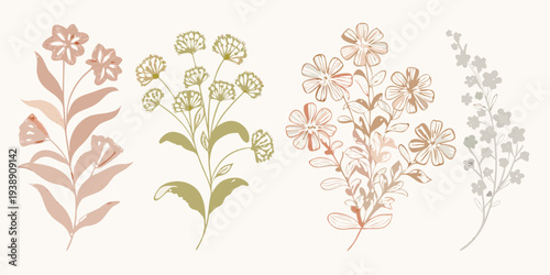 Botanical illustration of various wildflower arrangements in muted tones