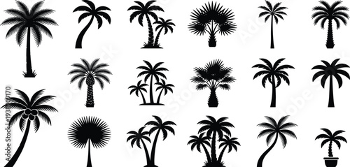Collection of various palm tree silhouettes against a plain background viewed from different angles and perspectives