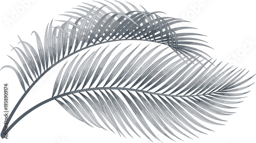A detailed illustration of a feather in a side view showcasing its intricate details and texture in a minimalist style