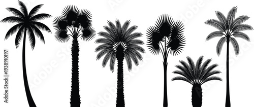 Tropical landscape illustration featuring diverse palm trees in various silhouettes against a clear background from a straight-on viewpoint.