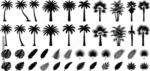 Collection of various palm tree silhouettes and leaves in different styles and orientations, showcasing tropical scenery from a straightforward viewpoint