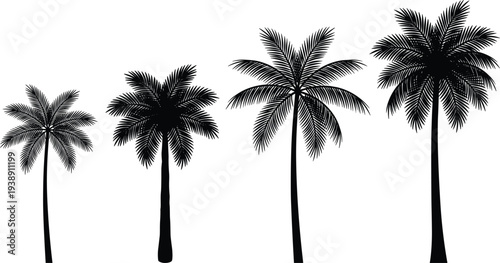 Four tall palm trees with varying leaf densities standing in a row