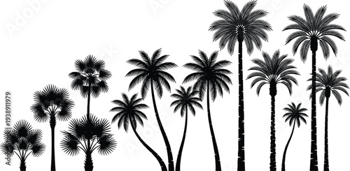 A serene landscape featuring palm trees in various sizes against a clear backdrop viewed from a distance