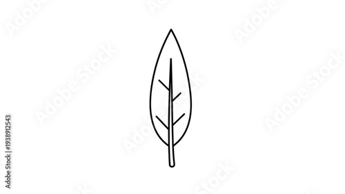 Simple black line drawing of a pointed leaf with basic vein structure on a white background for minimalist nature or garden icons.