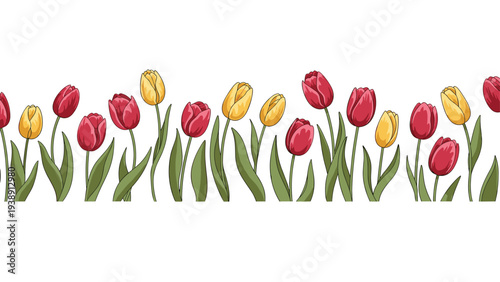 Seamless horizontal border of red and yellow tulips with long green leaves for website headers or card design.