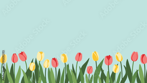 Pink and yellow tulips blooming in a green garden under a clear light blue sky, ideal for horizontal banners and spring season advertisement.