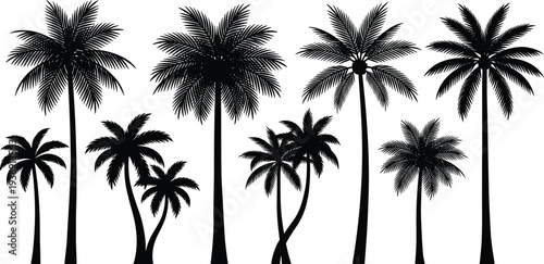 Silhouetted palm trees stand tall against a serene landscape viewed from a distance