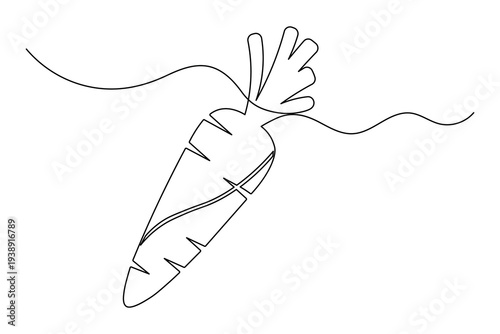 Slanted Carrot Continuous One Line Drawing Minimalist Organic Vegetable Outline Vector