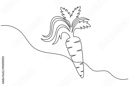 Bushy Leafy Carrot Continuous One Line Drawing Minimalist Organic Vegetable Icon Outline Illustration