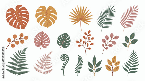 Collection of various tropical leaves and exotic botanical elements in earth tone colors isolated on white background, symbolizing modern interior decor and aesthetic minimalist branding projects