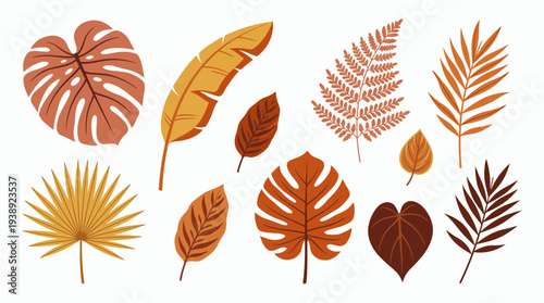 Collection of aesthetic tropical leaves in earthy terracotta tones including monstera palm and fern isolated on white background, symbolizing organic brand identity and bohemian home decor