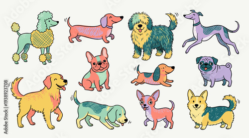 Collection of colorful hand drawn dog breeds including poodle pug dachshund corgi and golden retriever set on white background, symbolizing pet diversity or veterinary clinic branding