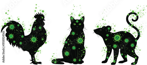 Vector silhouettes of a rooster, cat, and rat covered in green virus cells, illustrating zoonotic diseases, animal infection, and pathogens
